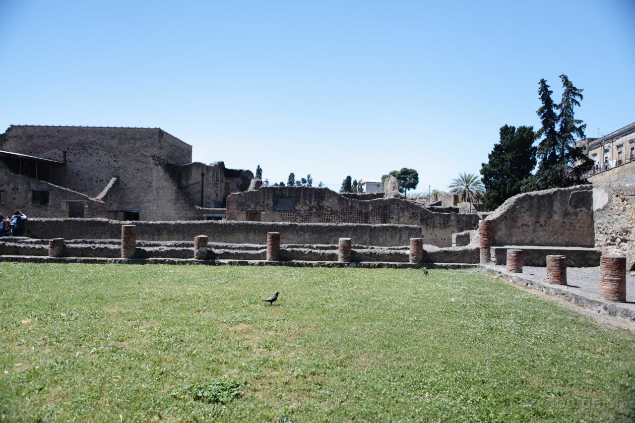 EOS 5D Mark II04_05_20121745.JPG